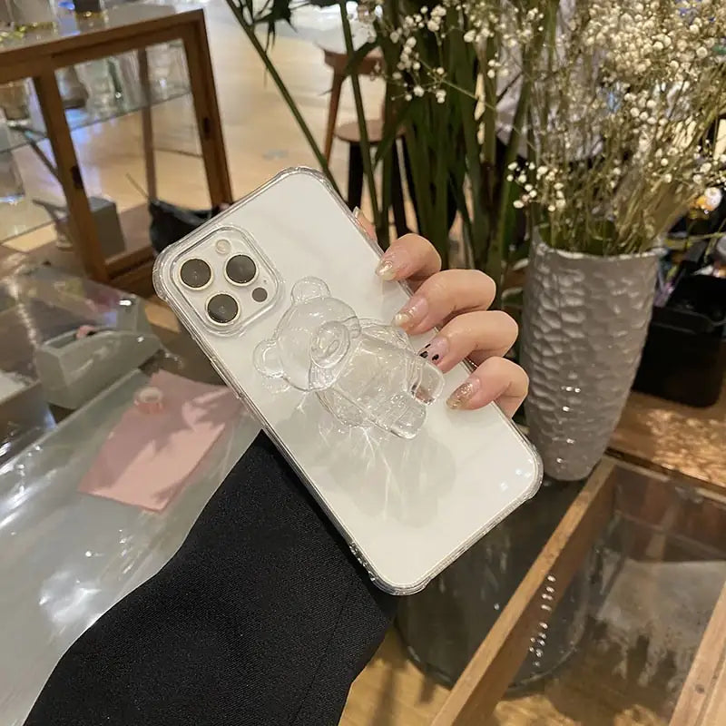 Transparent 3D Bear Case-What About Noah