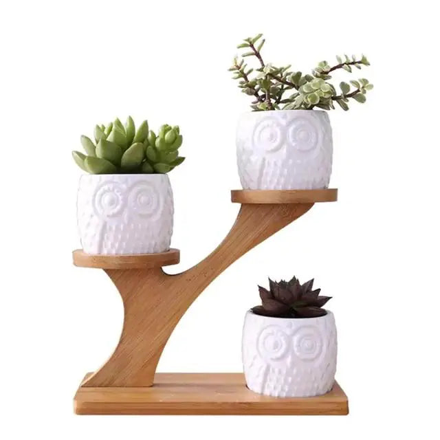 White Owl Ceramic Succulent Pots with Bamboo Stand-What About Noah