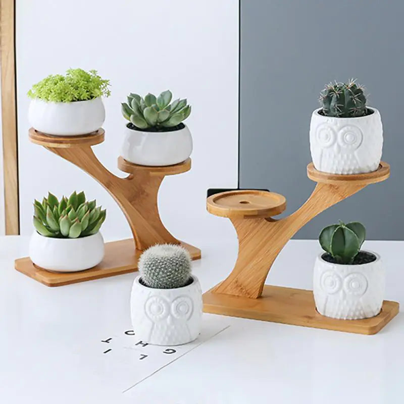 White Owl Ceramic Succulent Pots with Bamboo Stand-What About Noah