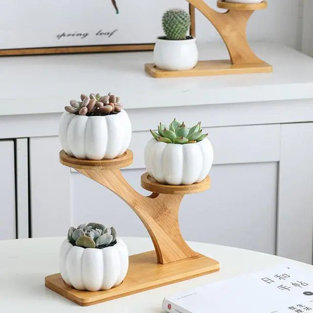 White Owl Ceramic Succulent Pots with Bamboo Stand-What About Noah