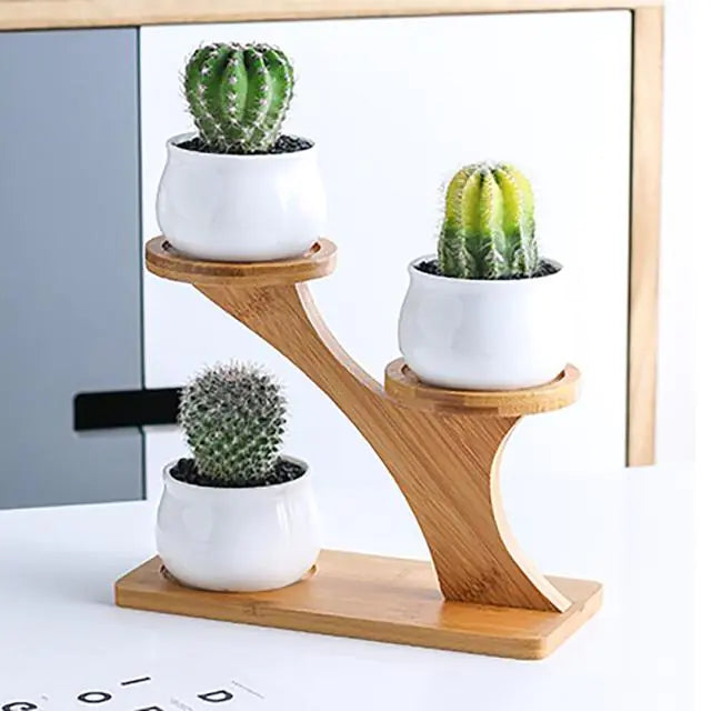 White Owl Ceramic Succulent Pots with Bamboo Stand-What About Noah